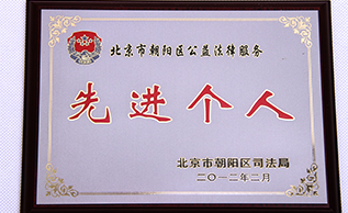 北京市朝阳区社会公益法律服务工作中裴宇琼